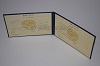 Стоимость диплома техникума УзбекАССР 1975-1991 г. в Карасуке (Новосибирской Области)