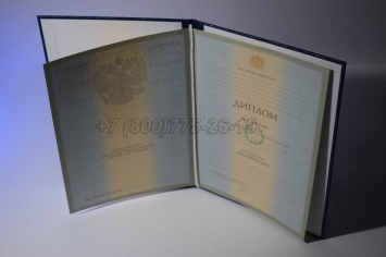 Диплом Университета 2008г в Новосибирске