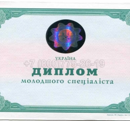 Диплом Техникума Украины 2013г в Новосибирске
