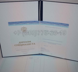 Диплом о Высшем Образовании 2025г СпецБланк в Новосибирске