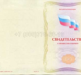 Свидетельство о Профессии Рабочего "Автоклавщик литья под давлением" в Новосибирске