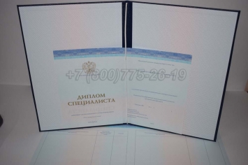 Диплом о Высшем Образовании 2019г СпецБланк в Новосибирске
