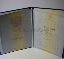 Диплом Института 2010г в Новосибирске