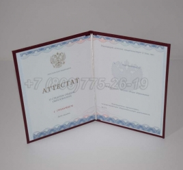 Аттестат За 11 Класс 2021г Золото ГОЗНАК в Новосибирске