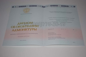 Диплом Адъюнктуры 2023г в Новосибирске