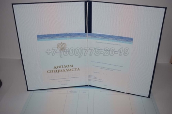 Диплом о Высшем Образовании 2023г СпецБланк в Новосибирске