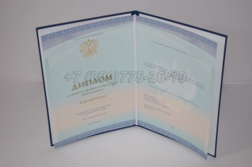 Диплом Техникума 2018г СпецБланк в Новосибирске