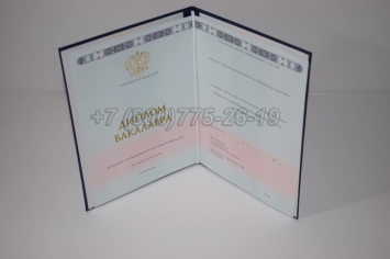 Диплом Бакалавра 2024г ГОЗНАК в Новосибирске