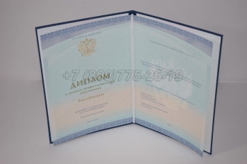 Диплом Колледжа 2023г СпецБланк в Новосибирске