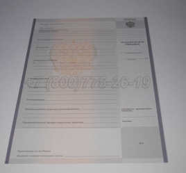 Академическая Справка Техникума 2014г в Новосибирске