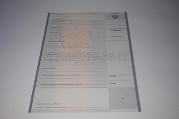 Академическая Справка Техникума 2014г в Новосибирске
